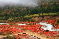 海螺壹號-木格措、瀘定橋、紅石公園、磨西古鎮(zhèn)3日游